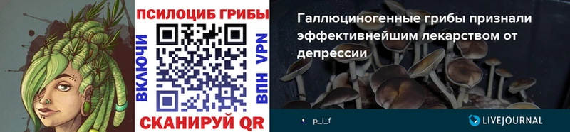 Галлюциногенные грибы Psilocybe мега ONION Великий Новгород